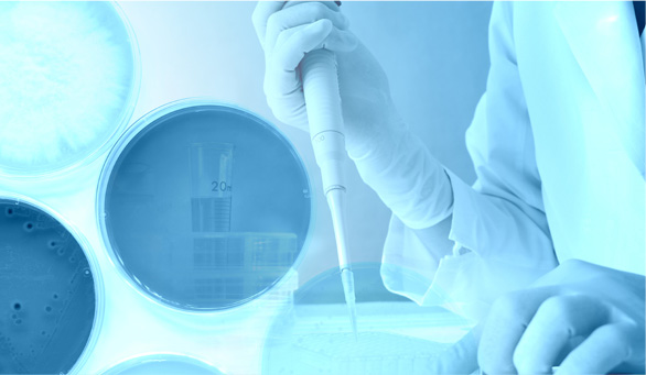 purified sodium hyaluronate